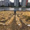 Vancouver Public Labyrinth – Habitat Island – False Creek Seawall – Olympic Village – instagram com p B1DFegsAzIQ