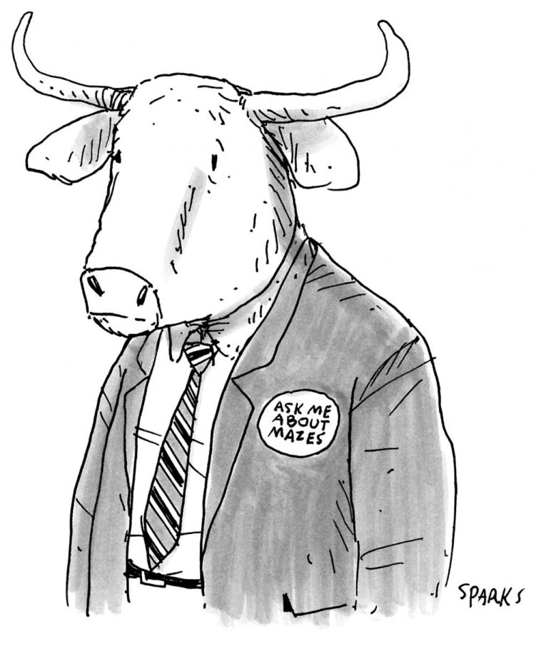 ask-me-about-mazes-newyorker-com-cartoons-a20132