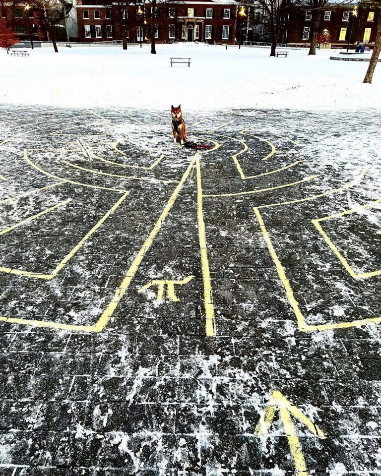 “I keep winning.” – Grange Park Labyrinth – Grange Park – Downtown ...